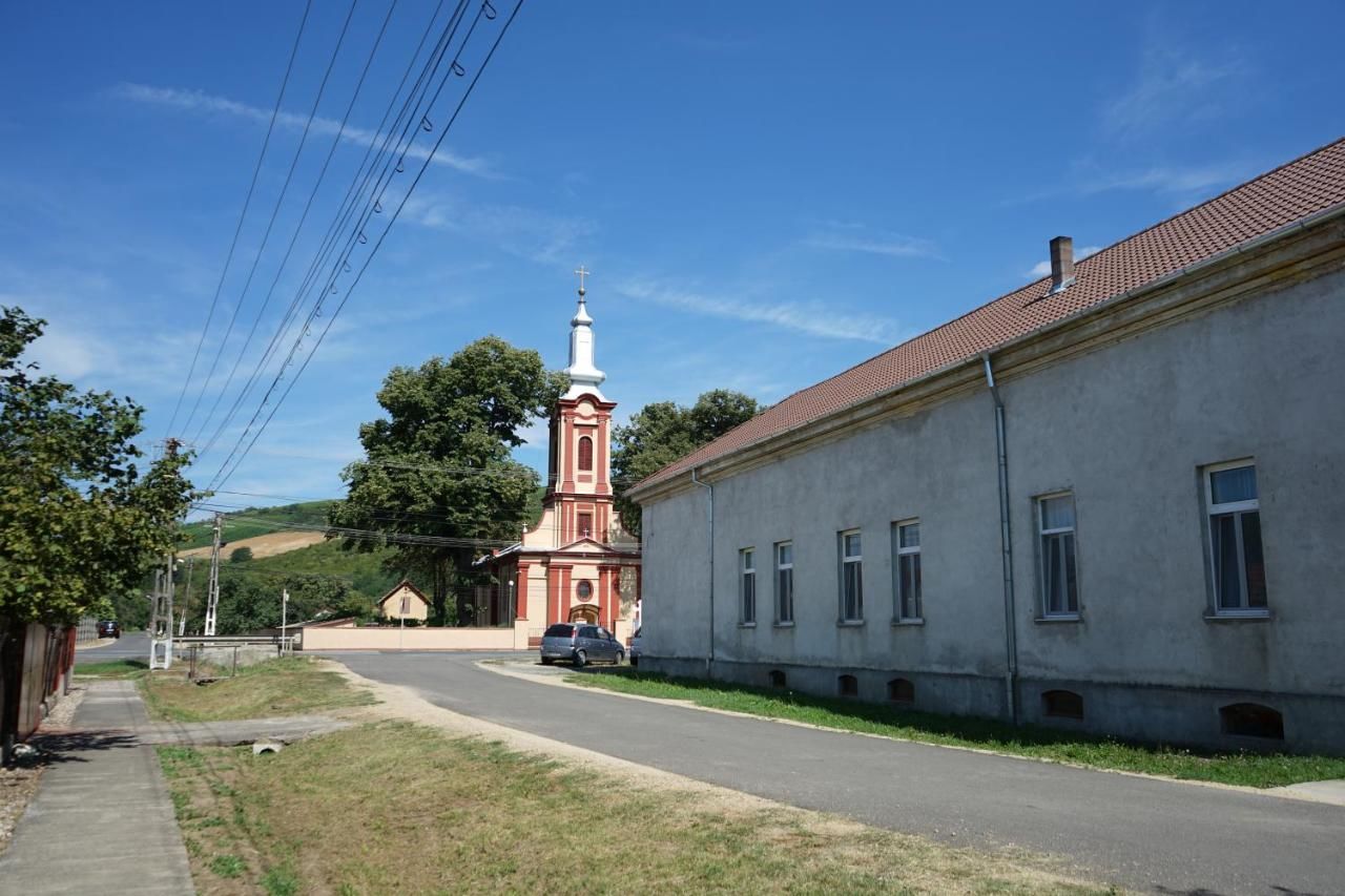 Проживание в семье Casa Miriam Păuliş-6